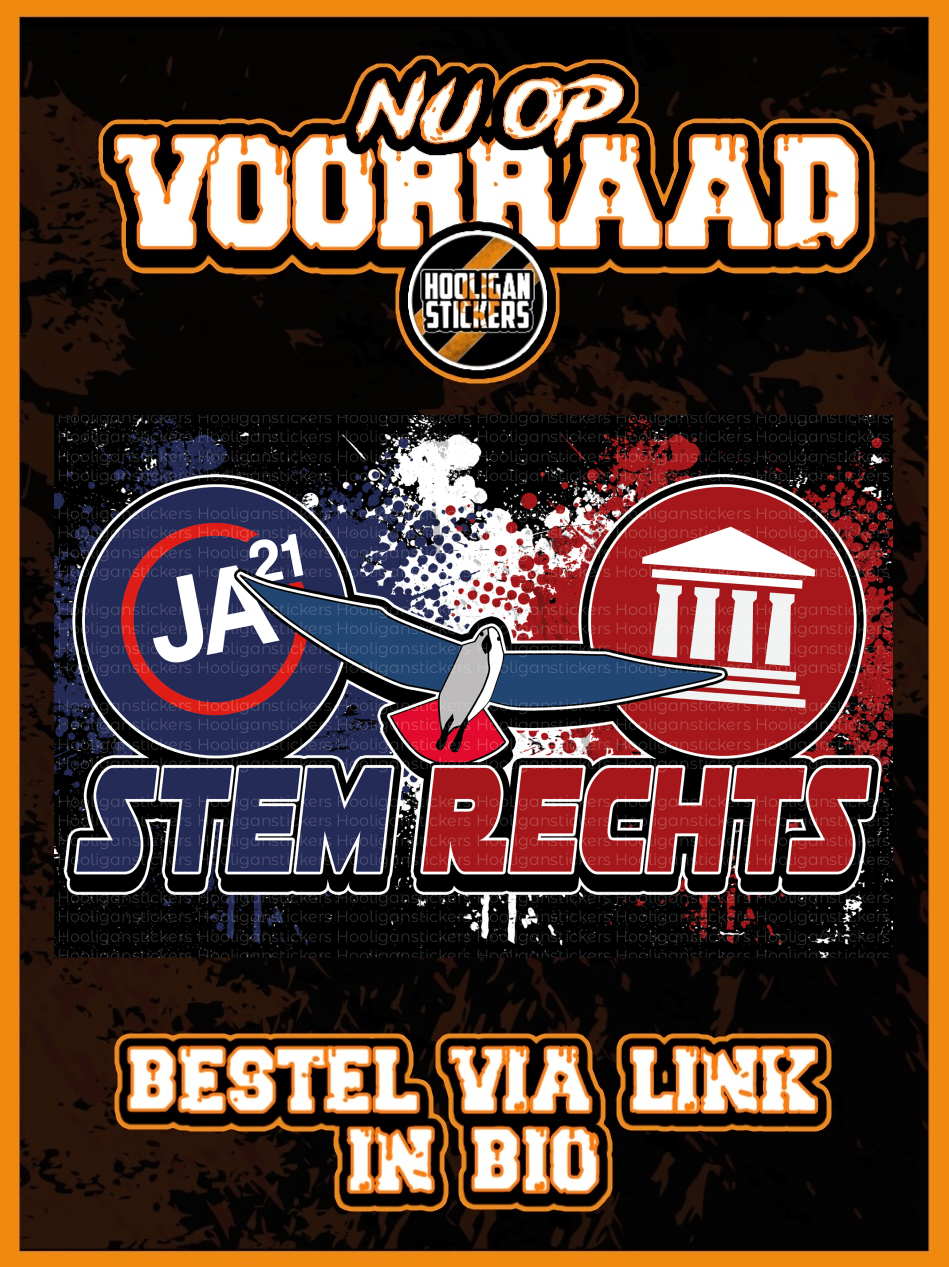 Stem rechts mini-stickers (8,5x5,5 CM)